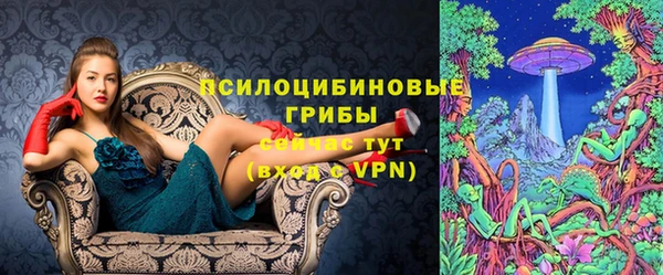 экстази Сатка