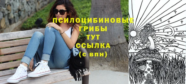экстази Сатка