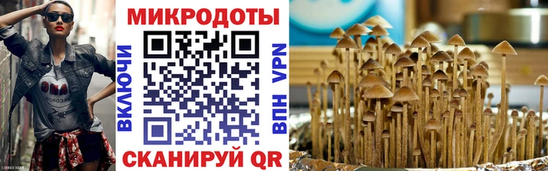 Галлюциногенные грибы мухоморы Сортавала